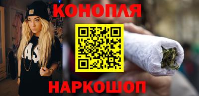 шишки Дубна