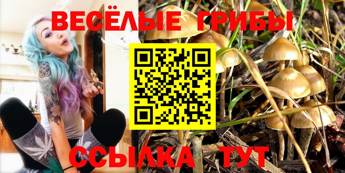 Псилоцибиновые грибы Cubensis  Вход с VPN  Вышний Волочёк 